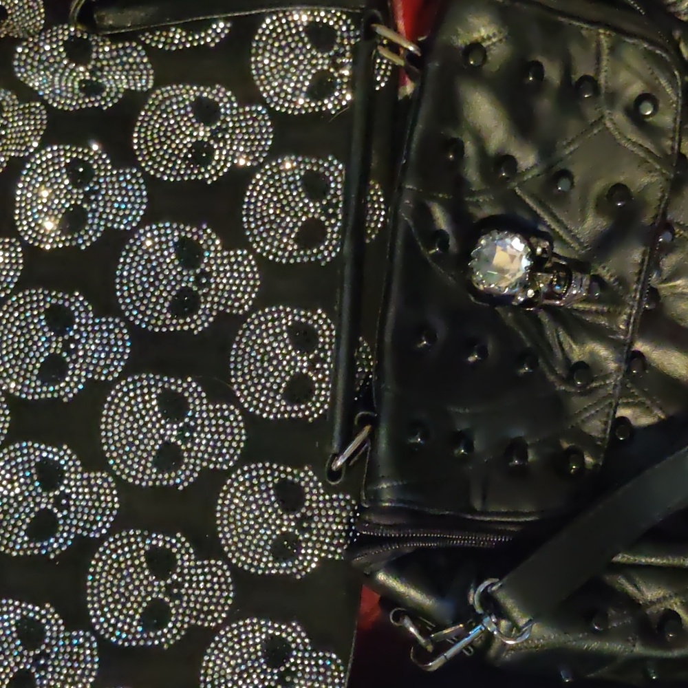 Two Skull bags